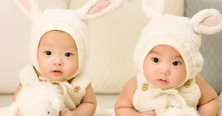 best double bassinet for twins