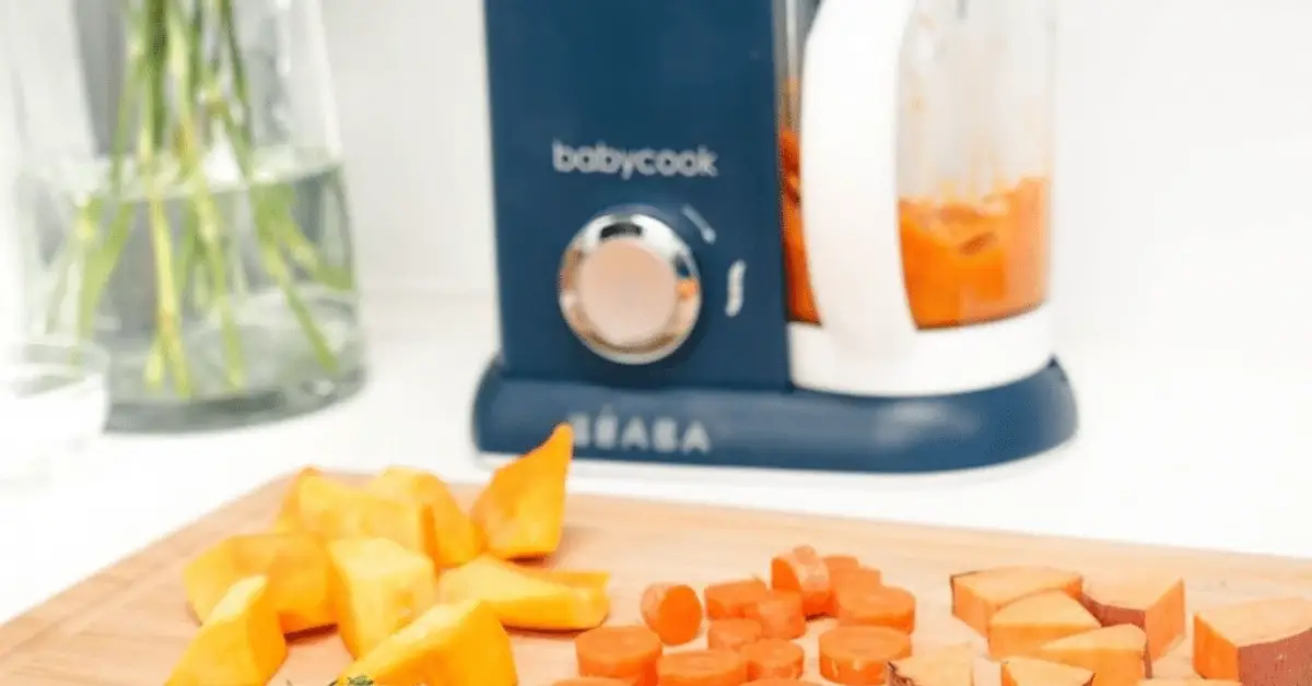 Best baby food steamer and blender